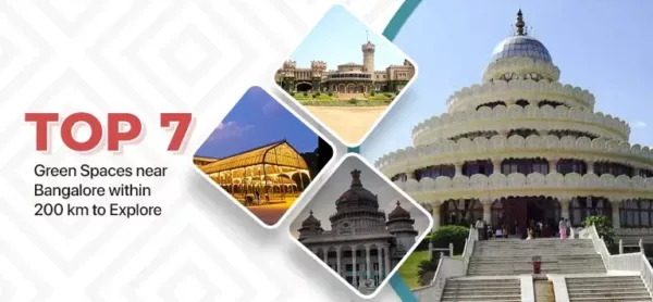 Are self-drive car rentals a convenient option for modern travelers?