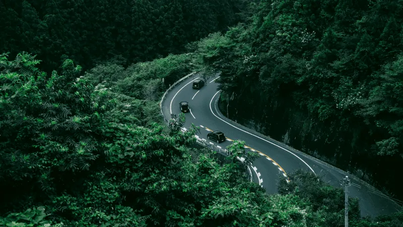 The Best Time to Visit Ooty from Bangalore: A Seasonal Travel Guide from Onroadz