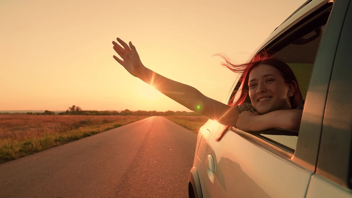 Night Drives from Bangalore