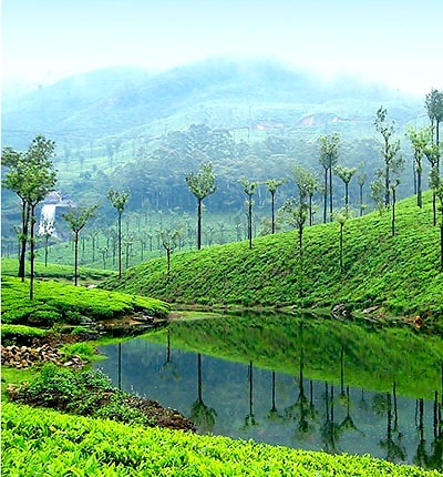 Valparai Hills