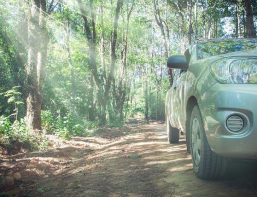 Top 10 Weekend Getaways from Bangalore by Car